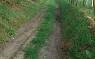 Teren extravilan Pitesti - str. Balotesi!! - Poză 5
