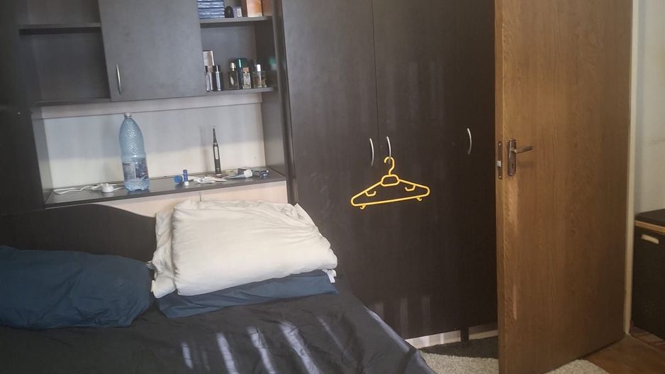 Vanzare apartament 2 camere Titan -Camil Ressu, Park Lake - Poză 1