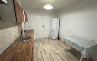 Apartament ultracentral iași informații - Poză 3