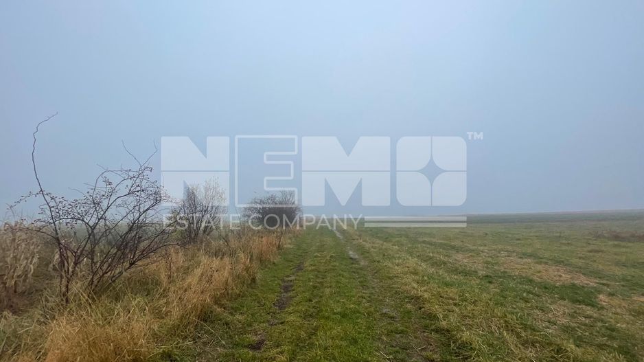 TEREN EXTRAVILAN | DOUA PARCELE 2.84 HA| IDEAL AGRICOL | DARMANESTI - Poză 8