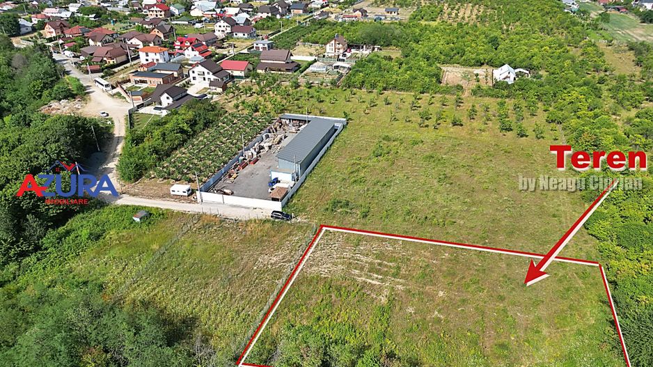 AZURA Imobiliare - Vanzare teren Smeura, zona verde - Poză 10