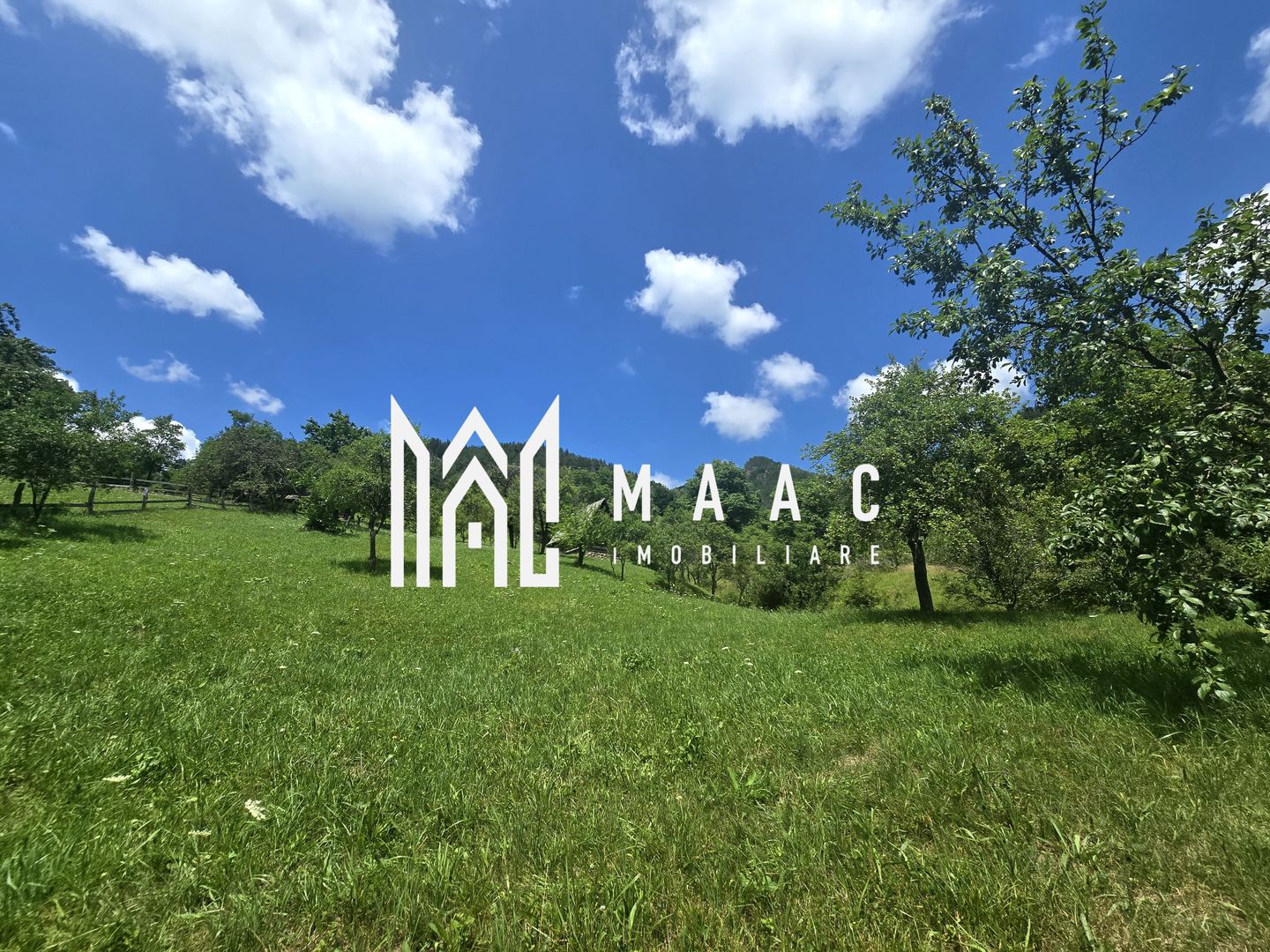 Teren | 2946MP | Priveliște Panoramică | Râu Sadului - Poză 9