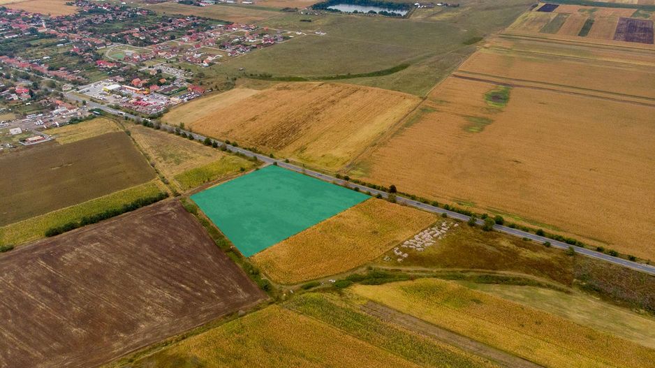 Teren de 19798mp în Zimandu Nou - Poză 1