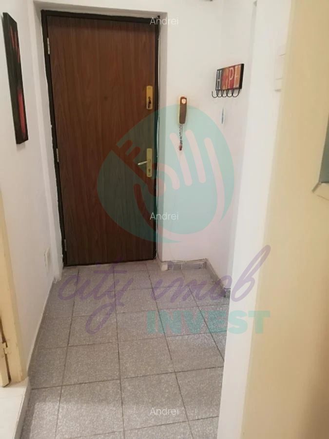 Ideal investitie - la 2 pasi de Bd Decebal si 7 minute de metrou MUNCII - Poză 8