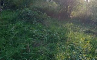 Teren intravilan de vânzare – Cisnădioara | 1.000 mp | Zona Apfelhaus - Poză 3