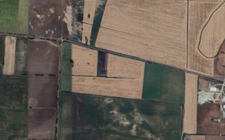 Teren extravilan la DN pentru PUZ | Sacalaz - Poză 2