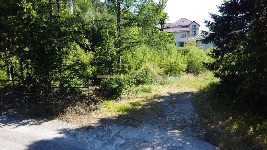 Teren constructii casa Dambu Morii | Utilitati | Necesar PUD - Poză 6