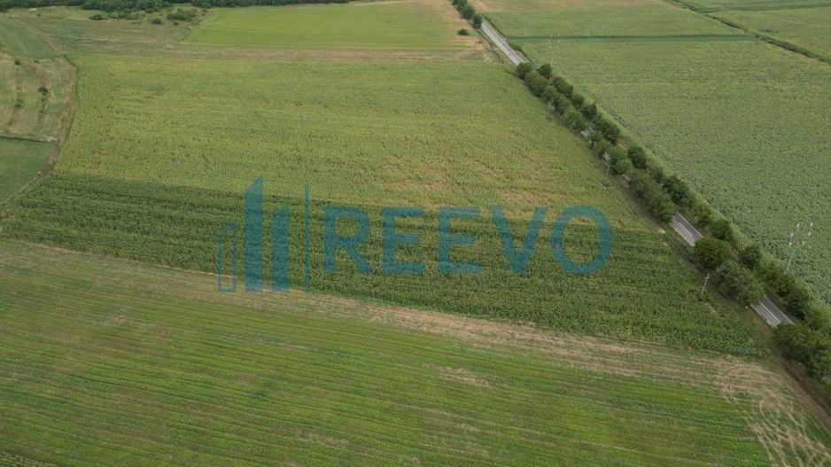 Teren de 4.400 mp Racova - Poză 3