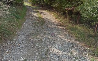 Teren  42,200 mp (4,22 hectare)-Parcelabil-investitie-Valea Jelnei - Poză 3