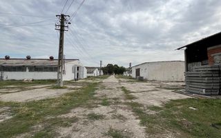 60.000mp Ferma de bovine, păsări, porcine, culturi agricole Diverse - Poză 6