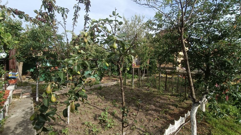 Casă de vanzare cu 4 camere 107 mpu pivnita anexe curte gradina Sebes - Poză 17