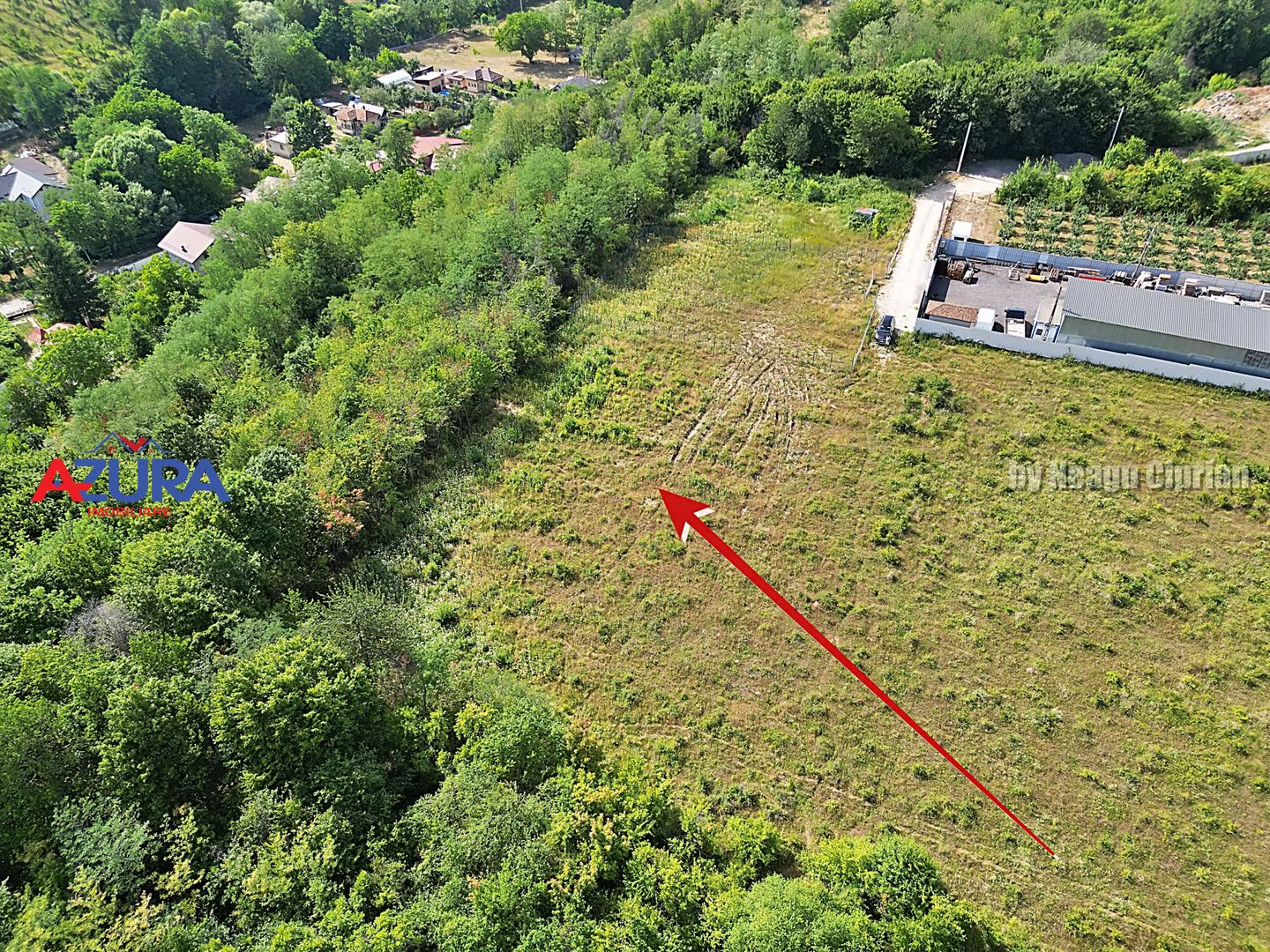 AZURA Imobiliare - Vanzare teren Smeura, zona verde - Poză 4