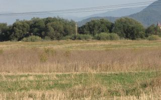 Codlea teren constructii industriale sau logistice 8 ha pana la 24 Ha - Poză 15