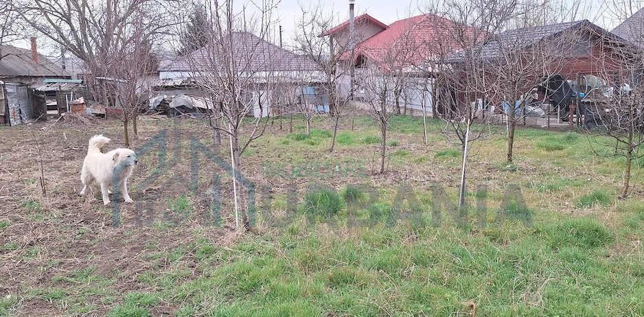 Casă de vânzare - Poză 2