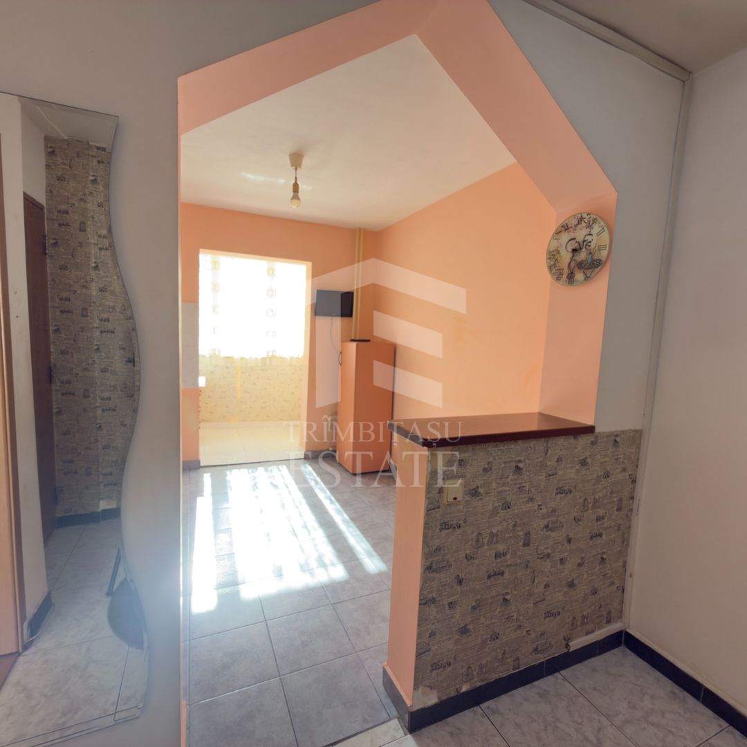 Apartament 3 camere Lacul Tei Teiul Doamnei - Poză 8