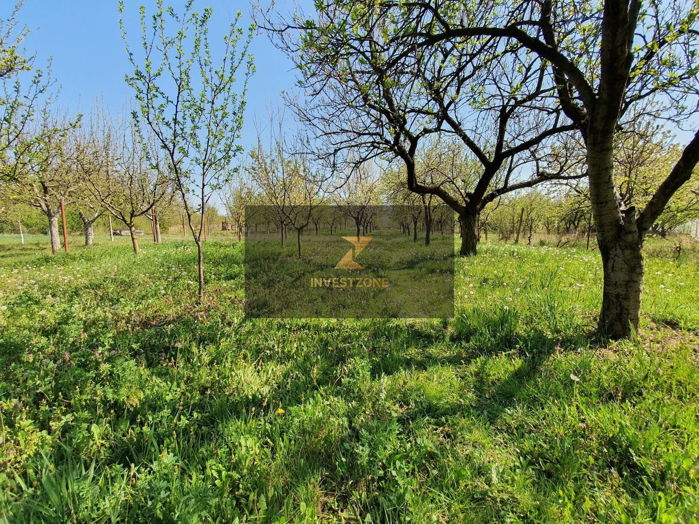 Teren Intravilan pe str Fagetului - Poză 4