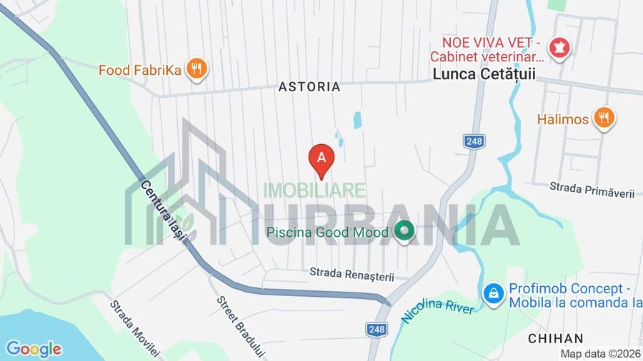 Casă individuală, Lunca Cetătuii, Iași - 195.000 EUR - Poză 17