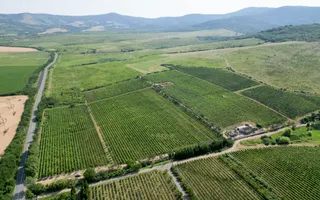 Vie Tradițională „Halta Lupilor” - Poză 33