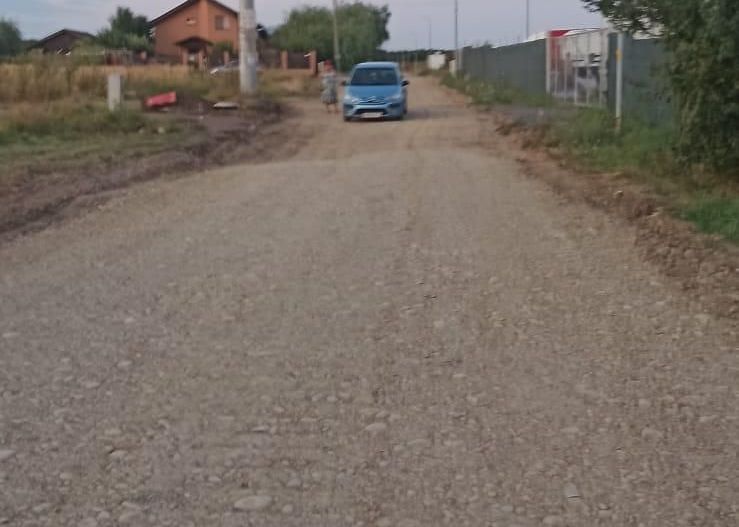 Teren Branesti - Strada Noua - Poză 10