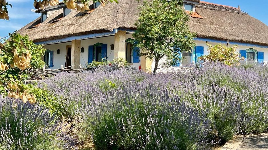 Complex turistic de vanzare in Enisala / Tulcea - Poză 2