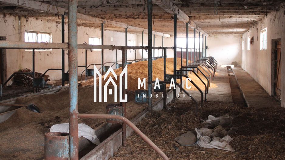 Ferma de Vânzare – Oportunitate Unică! - Poză 26