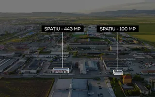 Teren intravilan | 6.000 MP | Zona Industrială - Poză 11