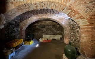 Casă individuală | 2 corpuri | Șură și anexe | teren 1460 mp – Porumbacu De Jos - Poză 10