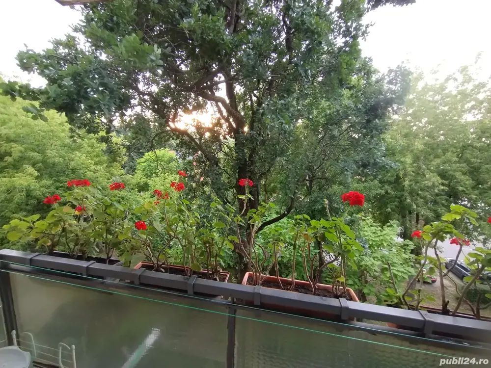 Apartament 3 camere | Zona Cloșca Careiului, Satu Mare - Poză 6