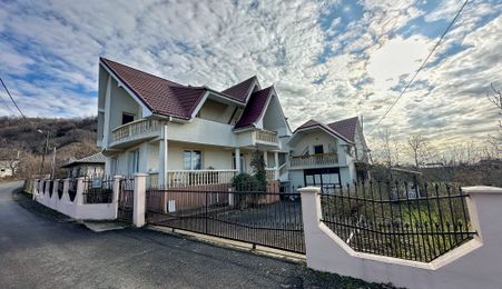 Casa P+M de vanzare, Seini - Maramures