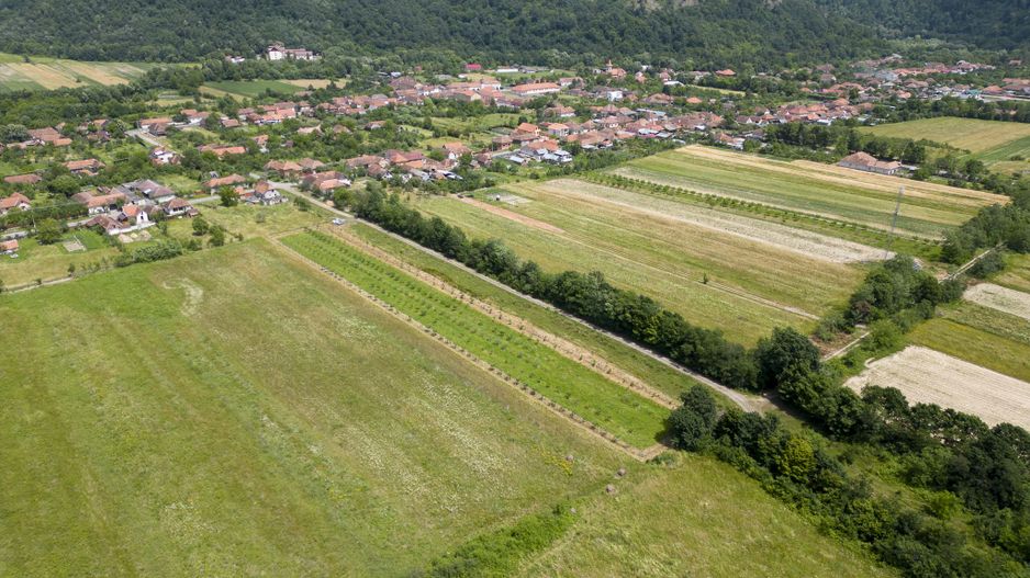 Livadă pe rod cu pomi fructiferi 4780mp la Dezna - Poză 12
