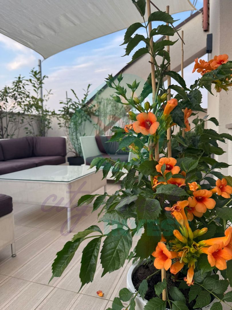 Apartament cu 3 camere si TERASA SPECTACULOASA DE 57 MP - Poză 2