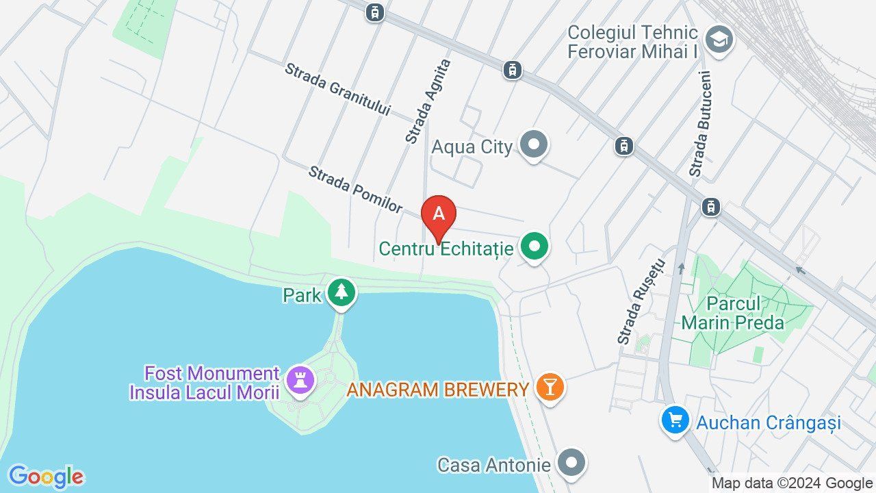 Vila moderna - Poză 1