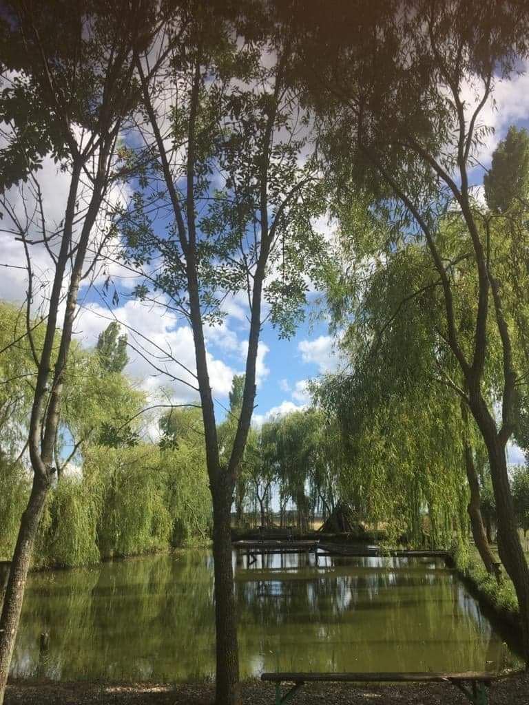 Vila individuala /proiect deosebit - Poză 21