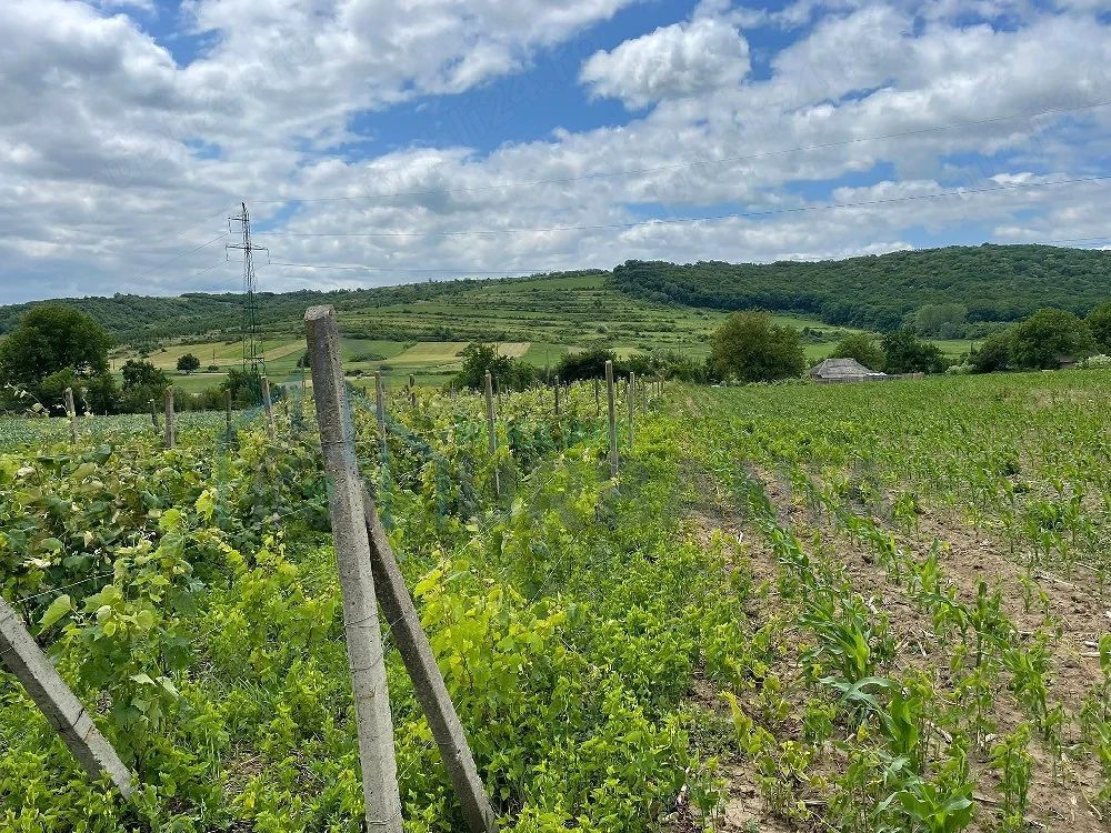 # De vanzare Casa 3 camere si teren 2000 mp com. Schitu Duca - Poză 9