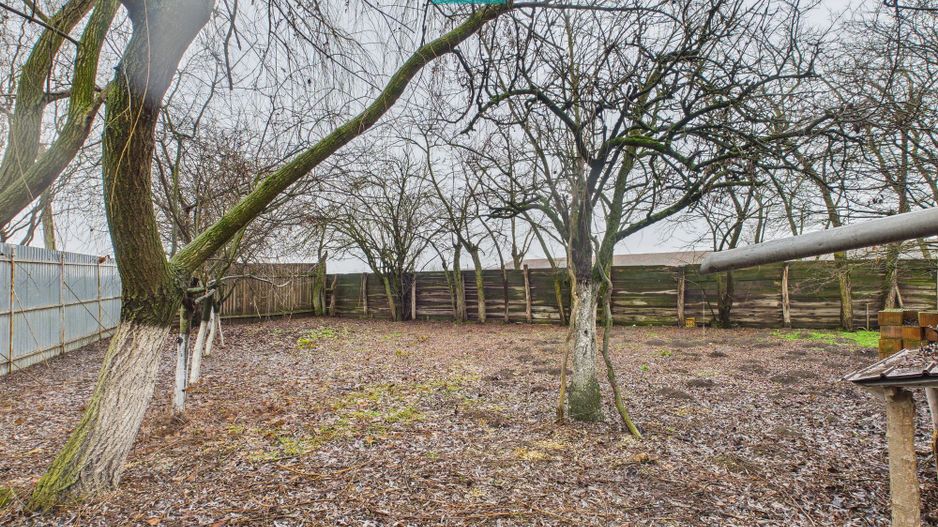 Casă cu 2 corpuri și 3 camere în Nădab - Poză 13