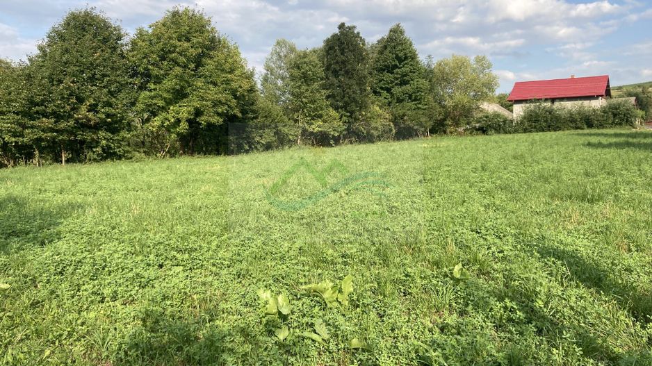 Teren Intravilan 3200 mp de vânzare - Poză 2