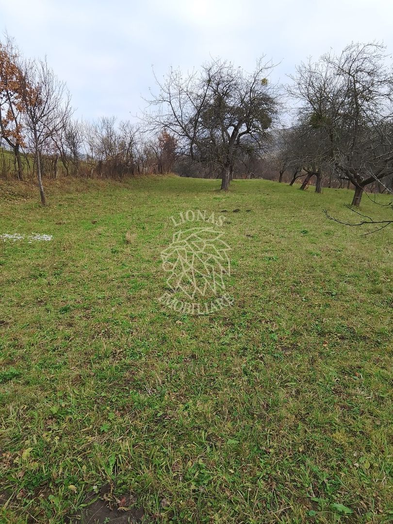 Teren 3966 mp-2 deschideri-curent-investitie-Budacu de Jos - Poză 5