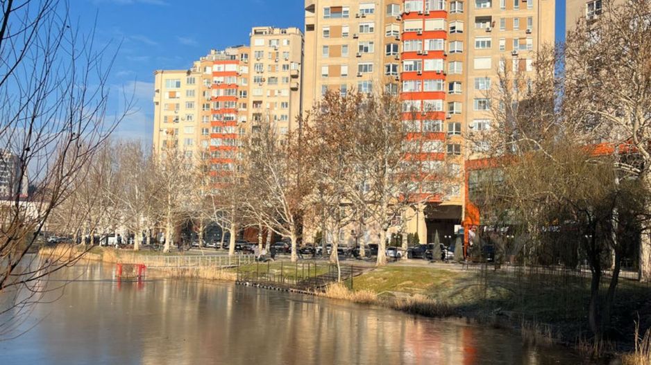 Chirie, apartament, 2 camere, bd. Decebal, Botanica - Poză 10