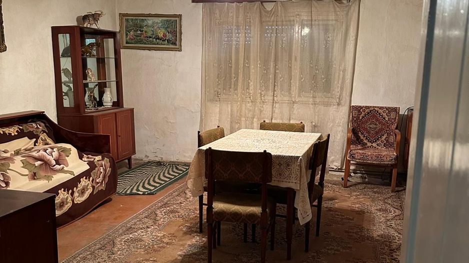 Casa de vanzare Variasu Mare- pret redus- 34.700 euro - Poză 3