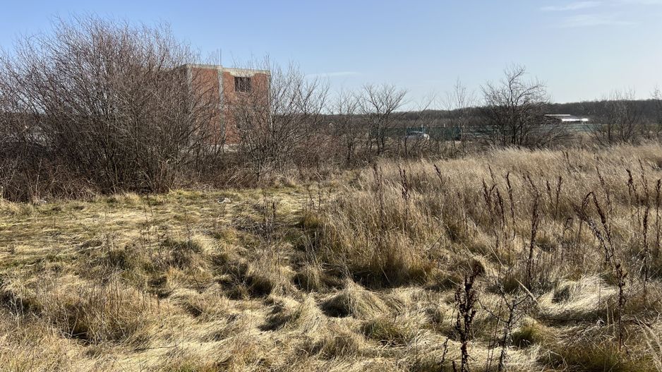 Teren Balotesti - Privighetorilor (Parcului Edenland) - Poză 7