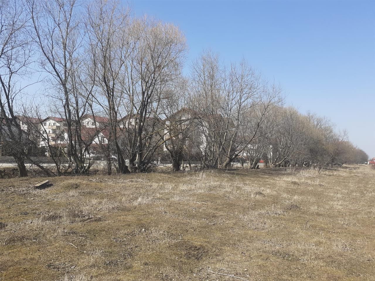 Teren constructii, segmentul investitional, Livada - Poză 5