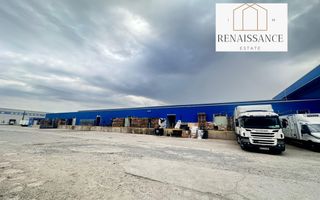 3 Hale Clasa A | 11.250mp Construiti 25.450mp Teren | Freidorf - Poză 11