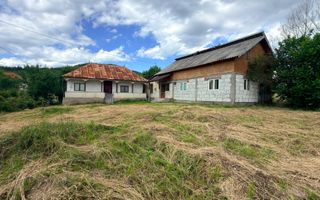 DOUĂ CORPURI DE CASĂ TEREN INTRAVILAN 6997 MP BUGHEA DE SUS ARGEȘ - Poză 1