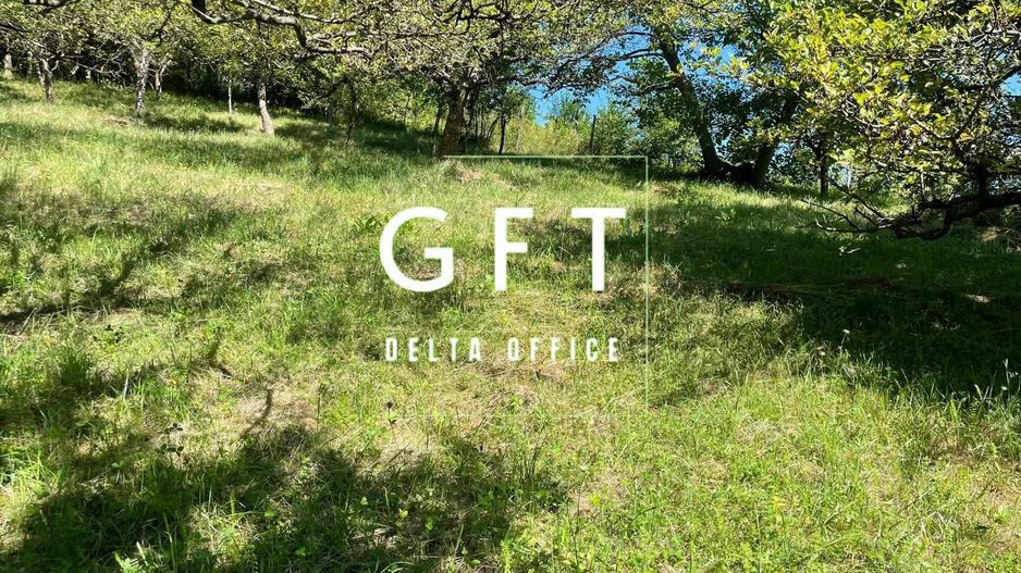 Teren intravilan 650- 669 mp de vânzare – Strada Dâmbului Bistrita - Poză 2