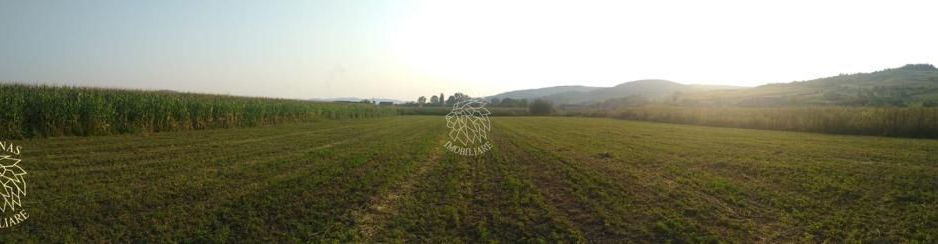 Teren 5500 mp-oportunitate investitie-pretabil cabana-Jelna - Poză 2