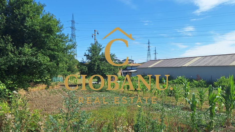 Teren intravilan de vanzare in Isalnita - Poză 1