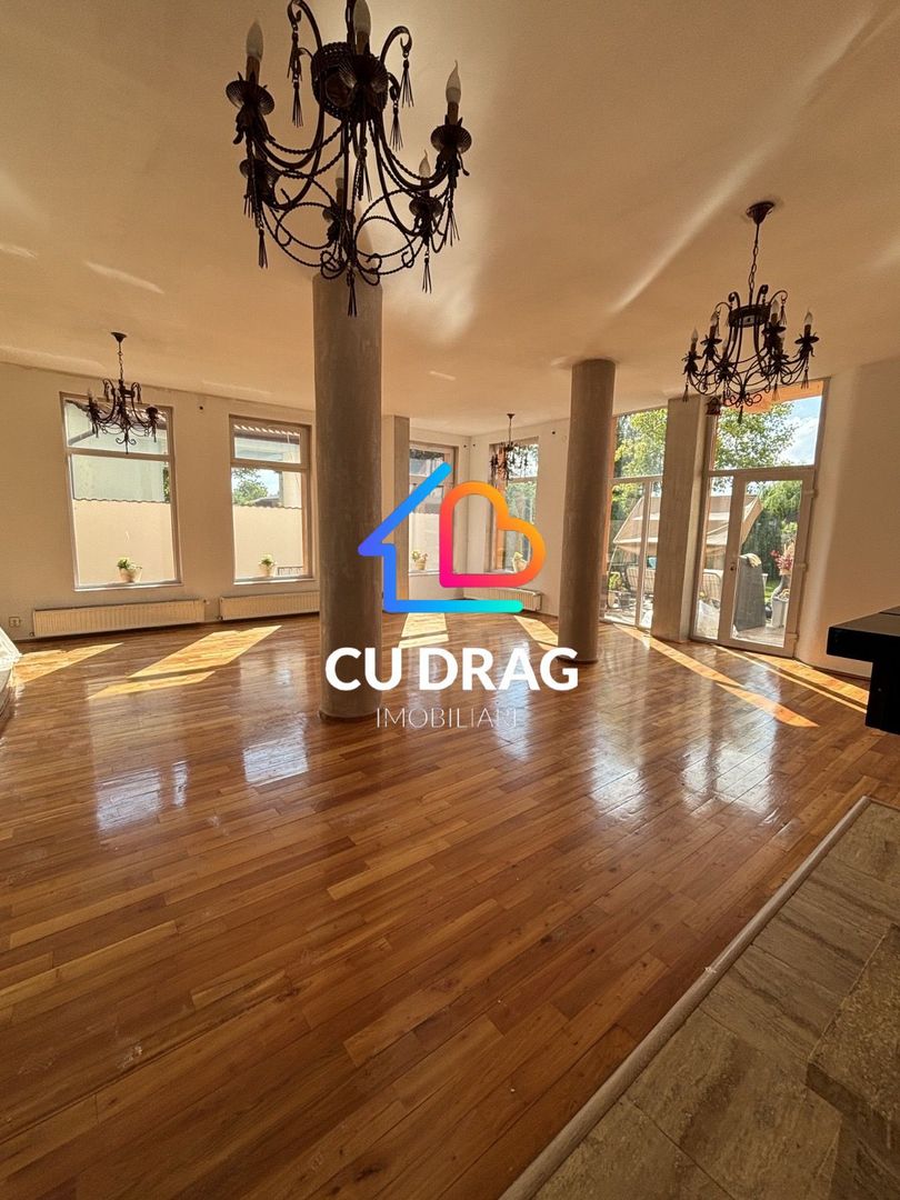 Oportunitate investitie, vila strada Dimitrie Cantemir - Poză 8