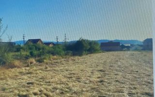 TEREN INTRAVILAN - STRADA AEROPORTULUI\ CARANSEBEȘ\JUD.CARAȘ-SEVERIN - Poză 2