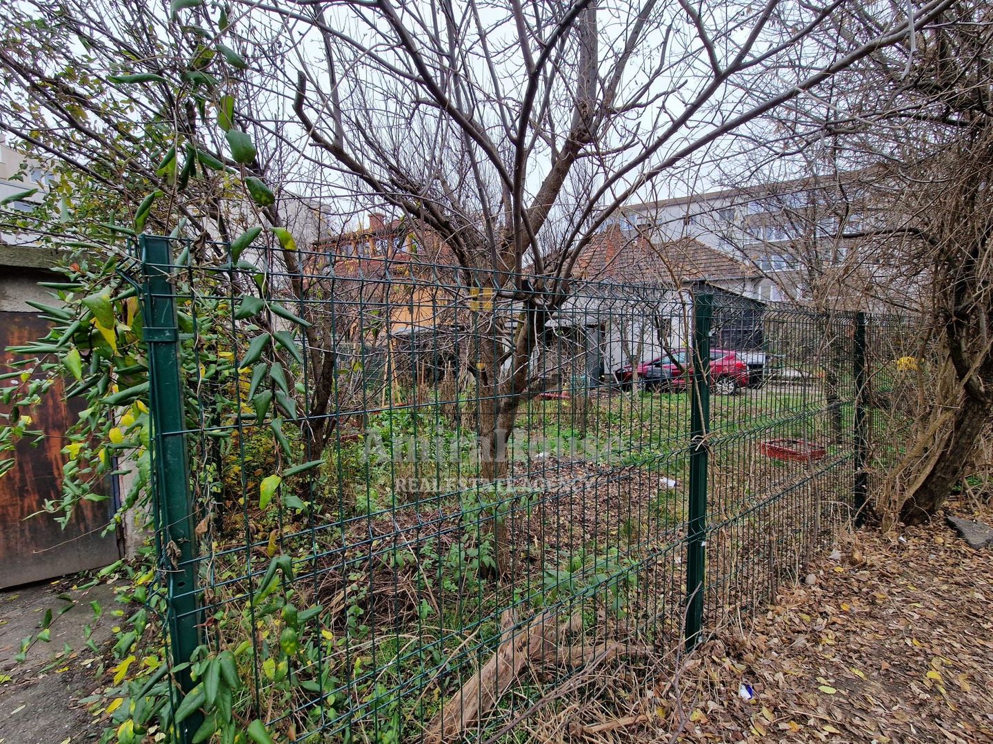 Casa individuala 550 teren in cartierul Grigorescu - Poză 4