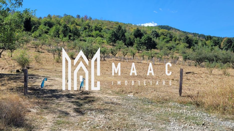 TEREN 5000 MP I SĂLIȘTE I PARCELABIL - Poză 10
